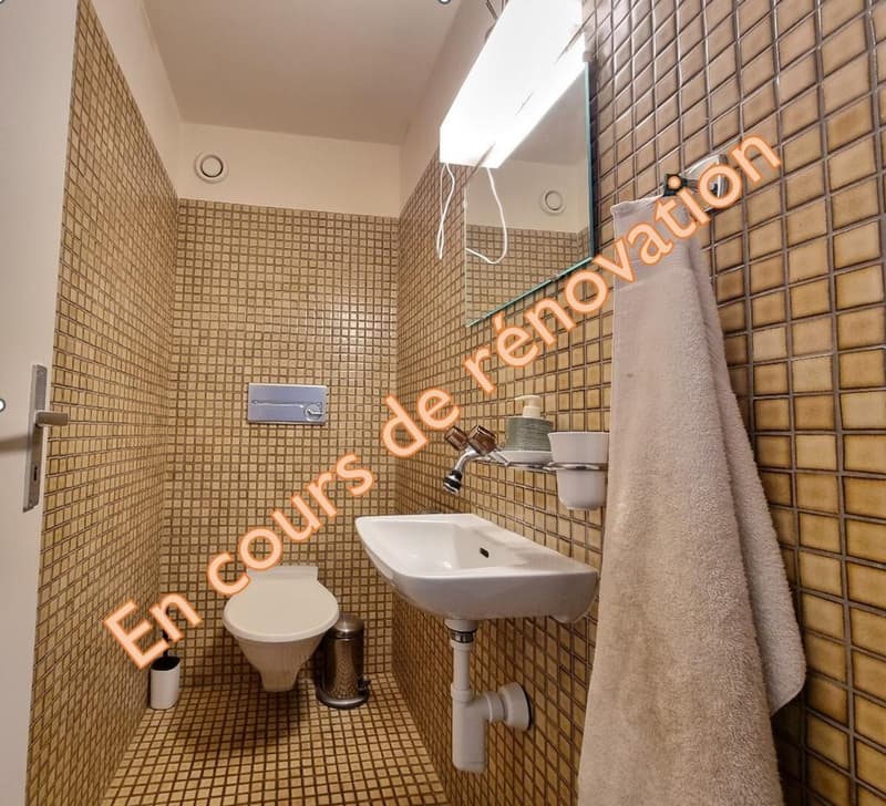 Appartement im Herzen von Lausanne (7)