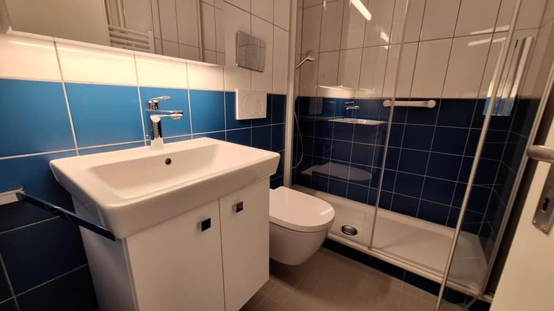 Appartement lumineux (5)