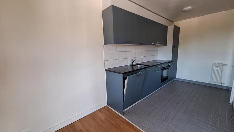 Appartement lumineux (3)
