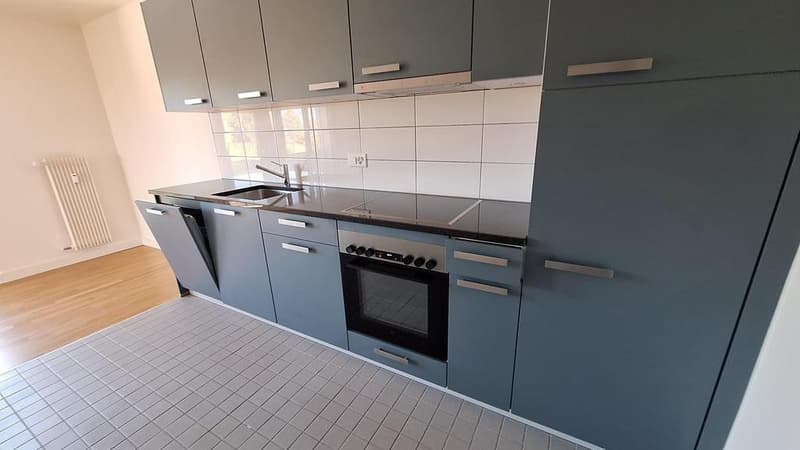 Appartement lumineux (4)