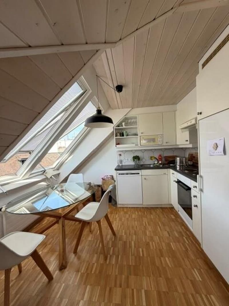 Beautiful apartment in the city center (3)
