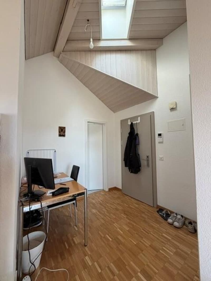 Beautiful apartment in the city center (6)