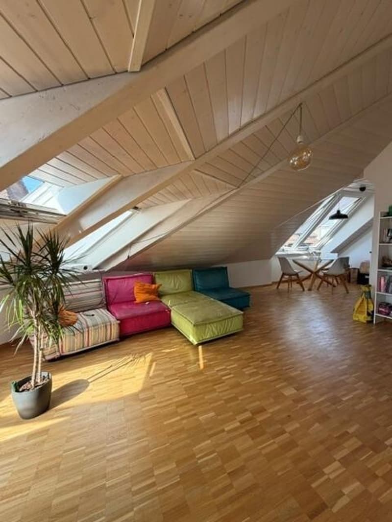 Beautiful apartment in the city center (4)
