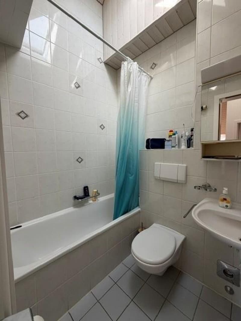 Beautiful apartment in the city center (5)