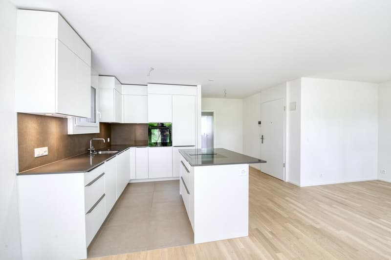 Charmantes Apartment in Cugy (4)