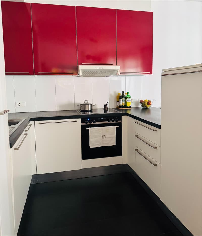 Charmant appartement au coeur de Lausanne (2)