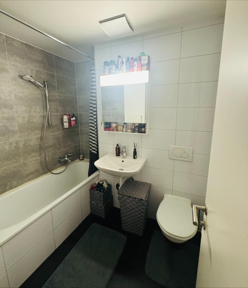 Charmant appartement au coeur de Lausanne (6)
