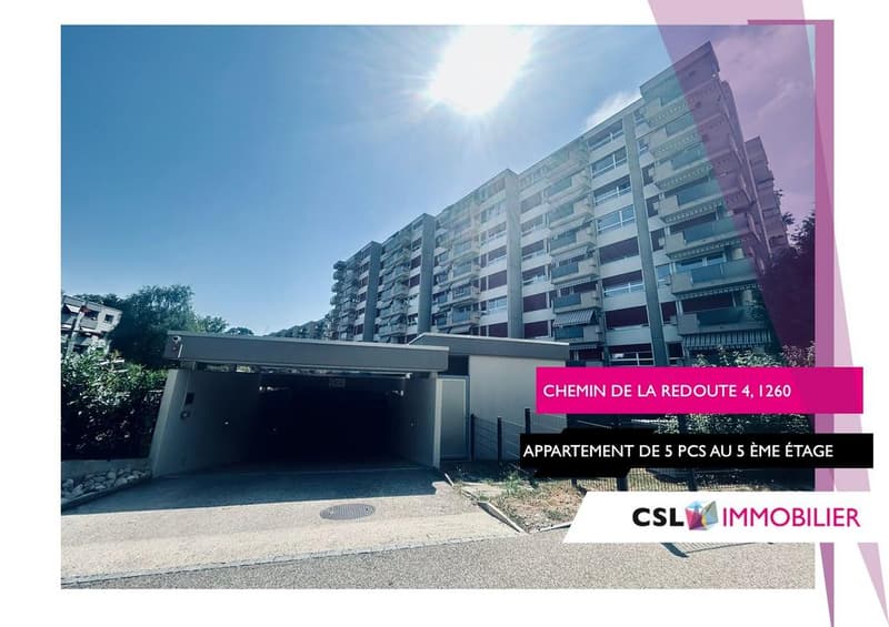 Charmant appartement à Nyon (1)
