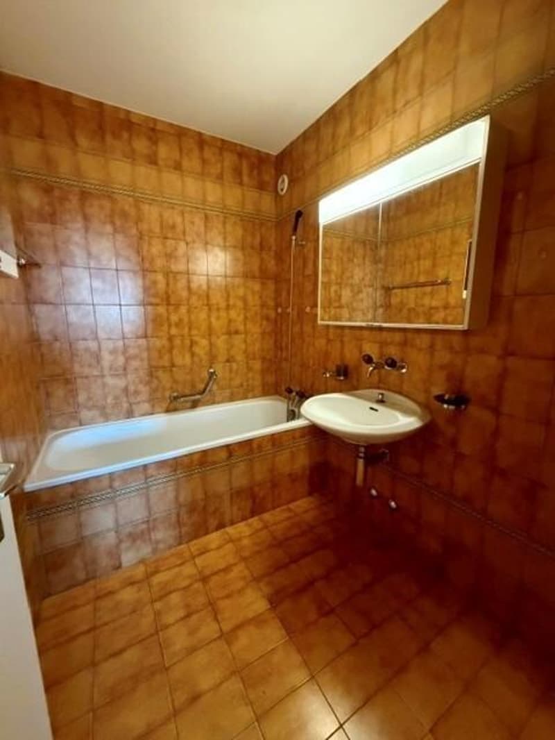 Charmant appartement à Nyon (5)