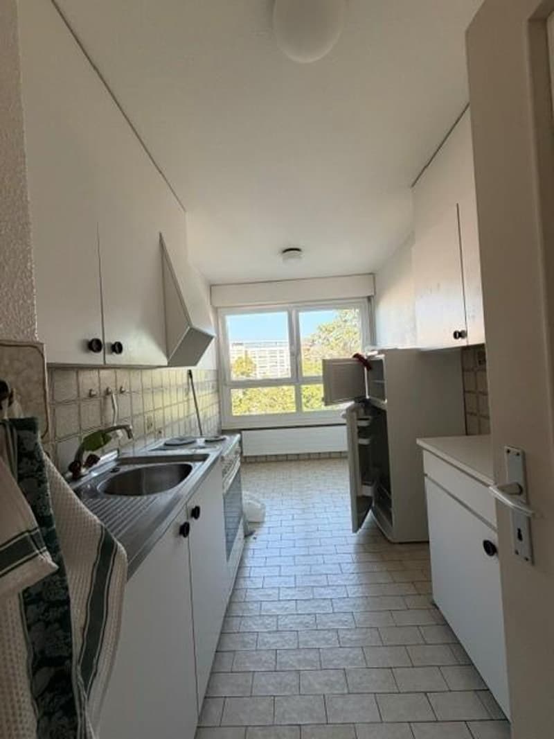 Charmant appartement à Nyon (3)