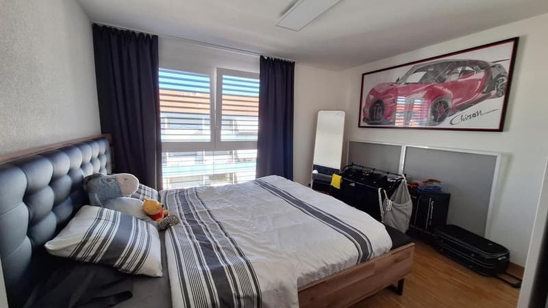 Bel appartement lumineux (2)