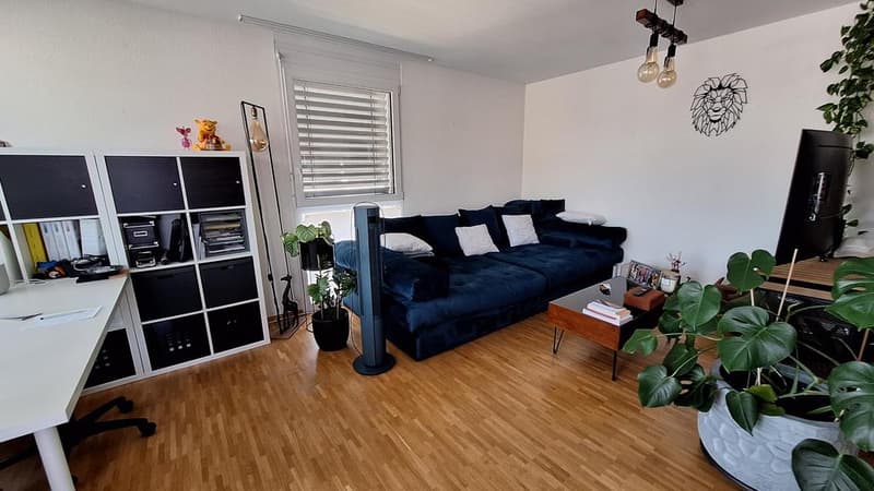 Bel appartement lumineux (3)