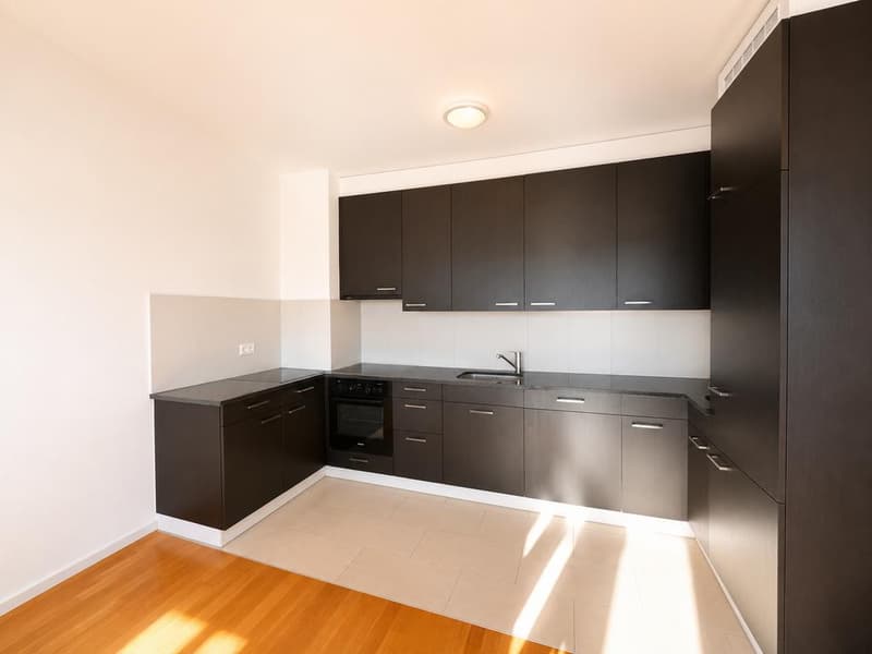 Agréable appartement à Renens (3)