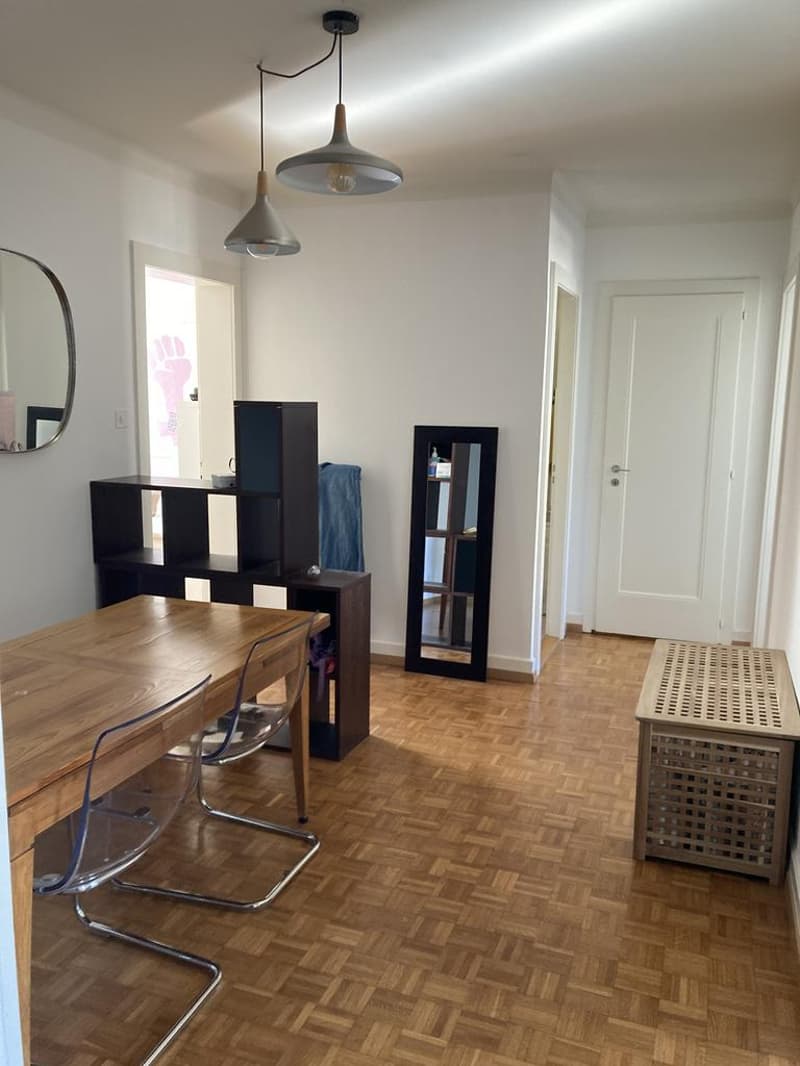 Charmant appartement proche de Ouchy (7)
