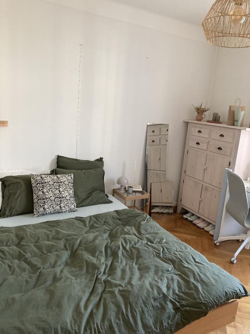 Charmant appartement proche de Ouchy (8)