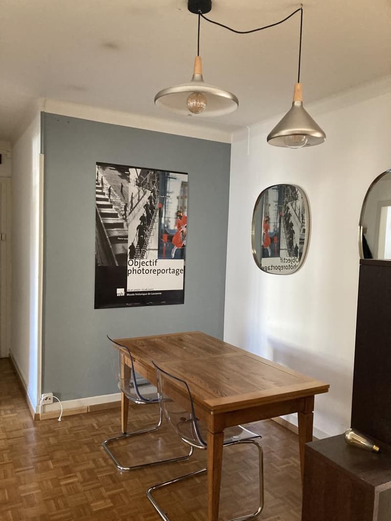 Charmant appartement proche de Ouchy (6)