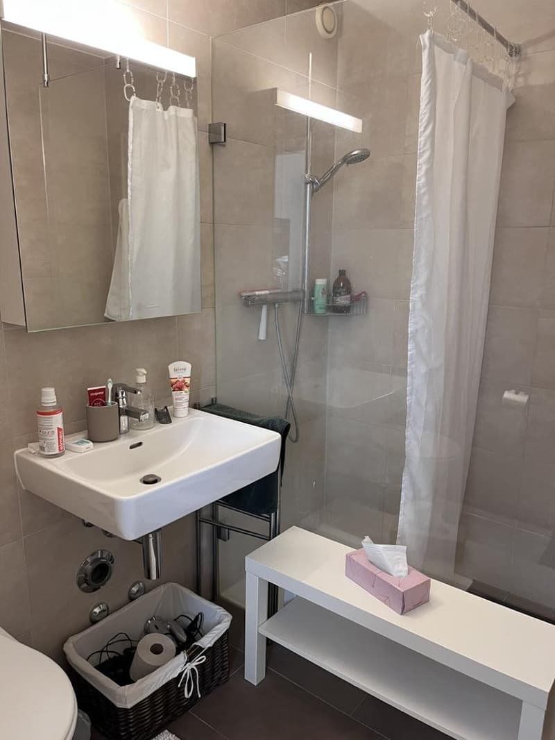 Charmant appartement à Morges (7)