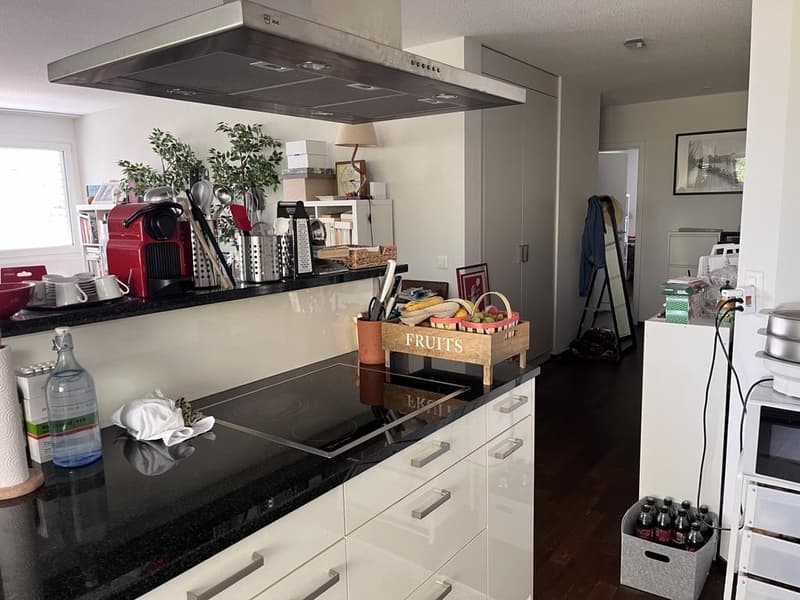 Charmant appartement à Morges (2)