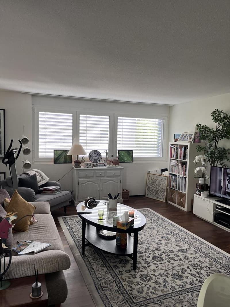Charmant appartement à Morges (5)