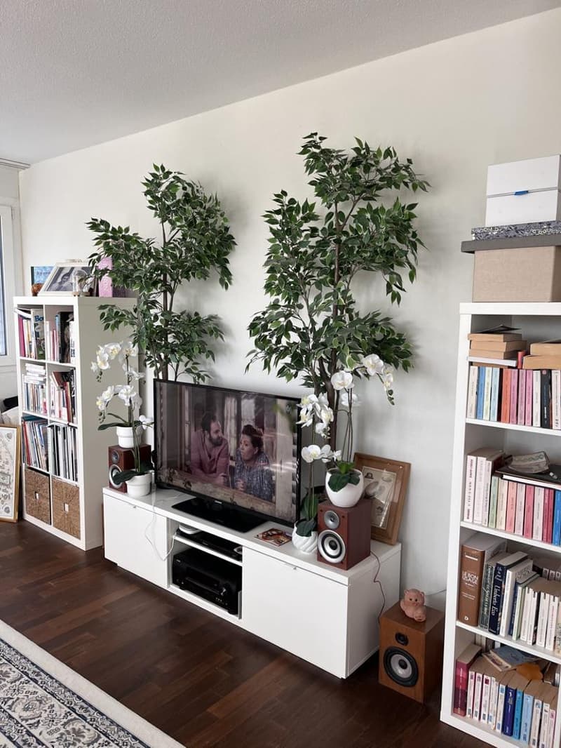 Charmant appartement à Morges (4)