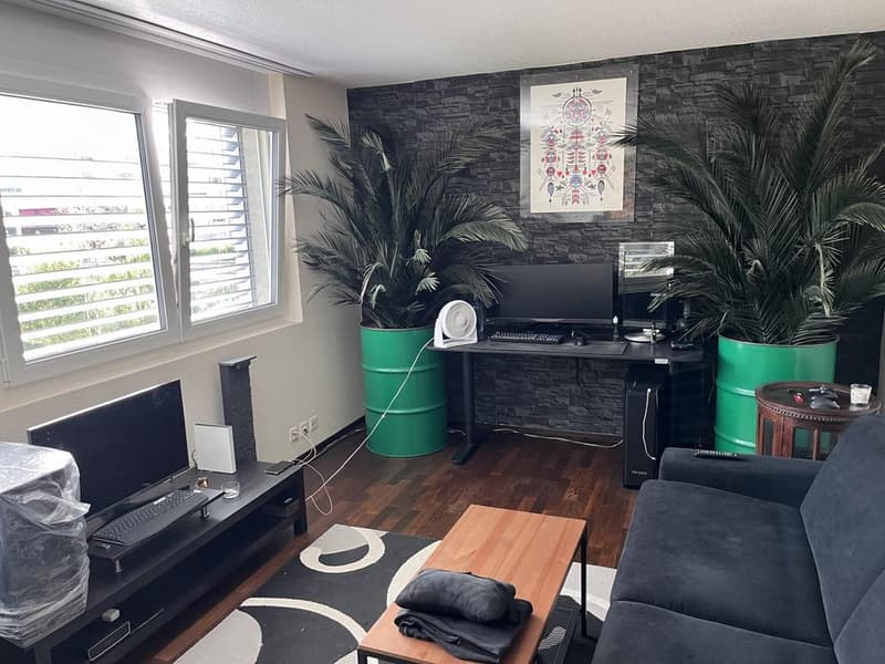 Charmant appartement à Morges (8)