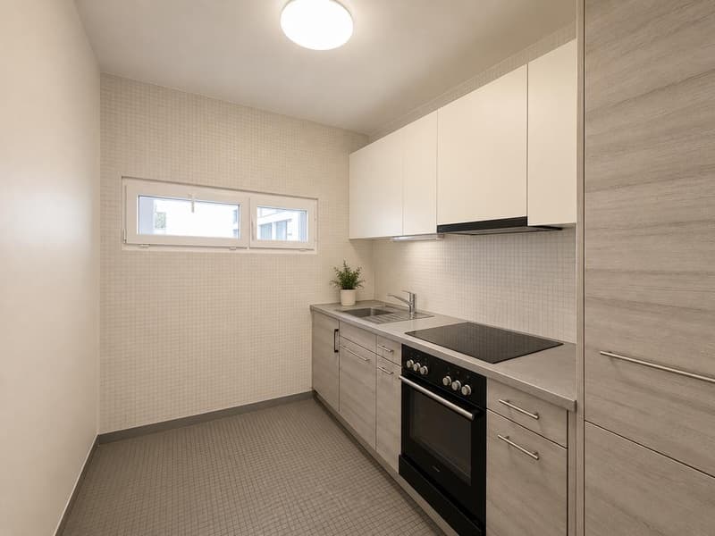 Appartement au centre de lausanne (4)