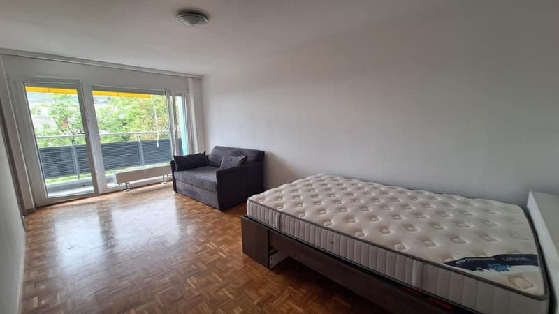 Charmant appartement à Corsier sur Vevey (3)