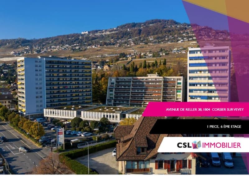 Charmant appartement à Corsier sur Vevey (1)