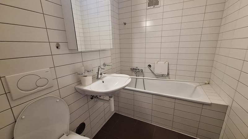 Charmant appartement à Corsier sur Vevey (4)