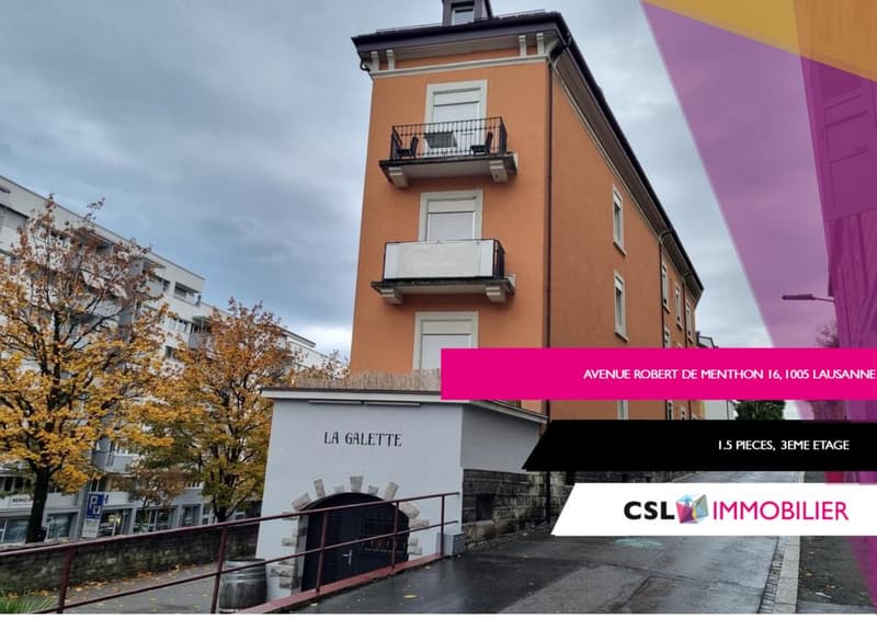 Studio au coeur de Lausanne (1)