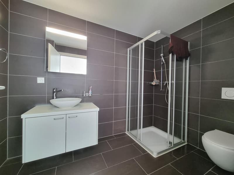 2.5 Appartement chambre Dans Lausanne (3)