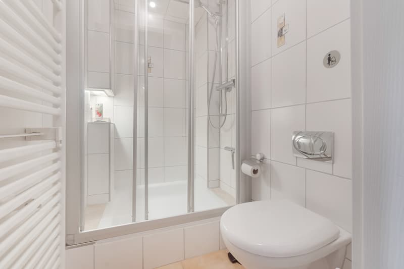 Family-friendly home in Winterthur with garden, peace, and versatility (11)