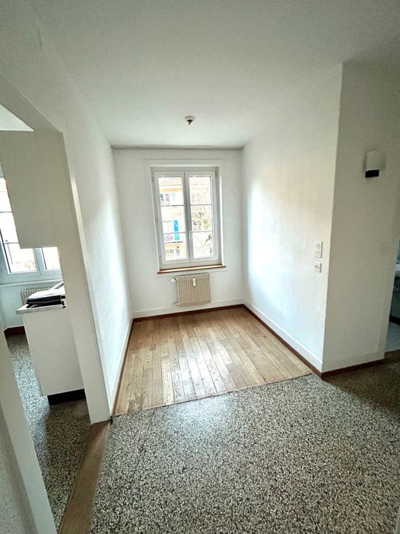Appartamento tranquillo di 1,5 locali nel quartiere dell'isola (2)