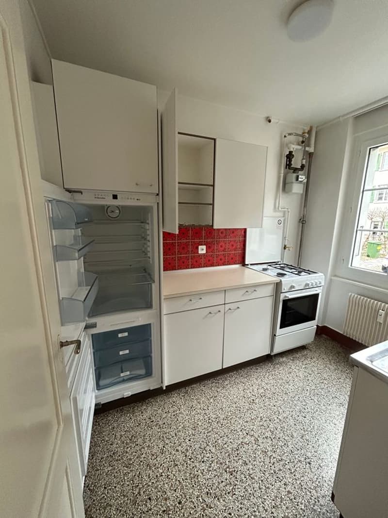 Appartamento tranquillo di 1,5 locali nel quartiere dell'isola (3)