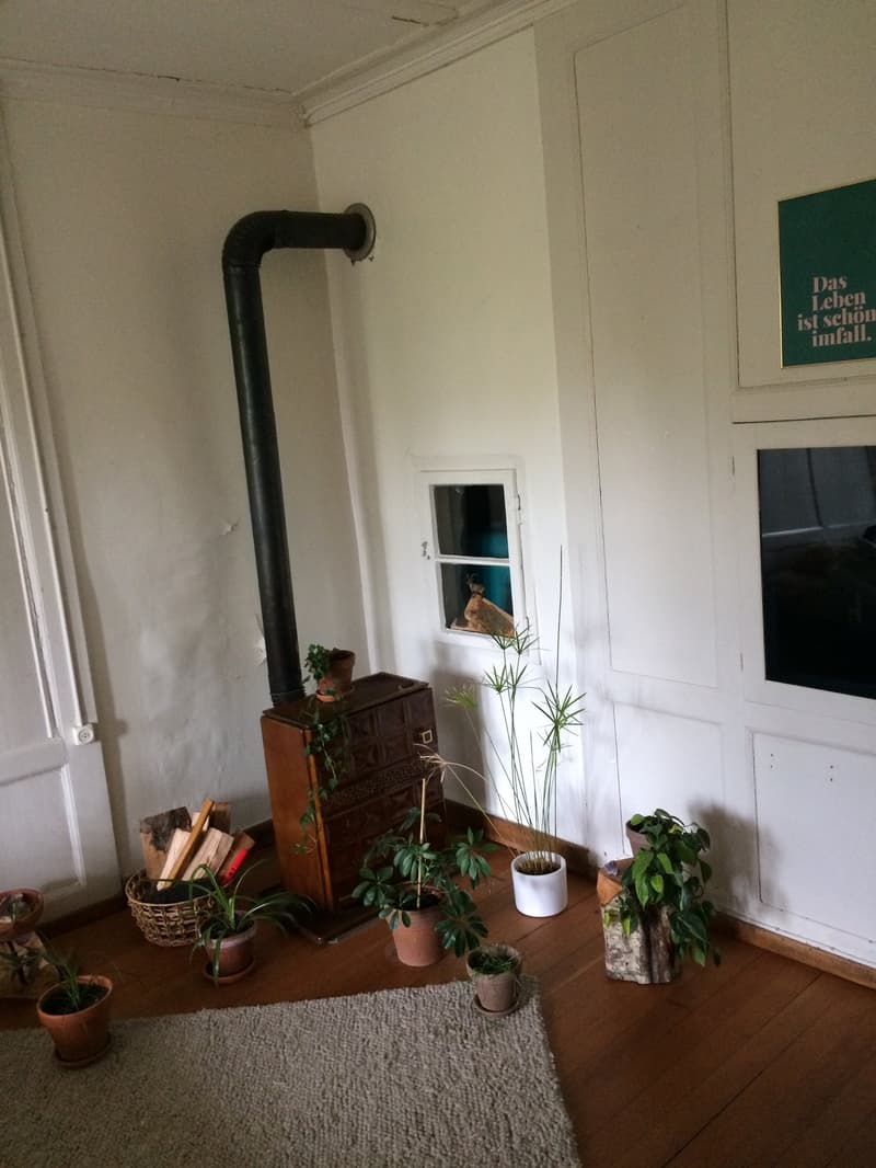 Apartment with shared kitchen, student apartment (6)