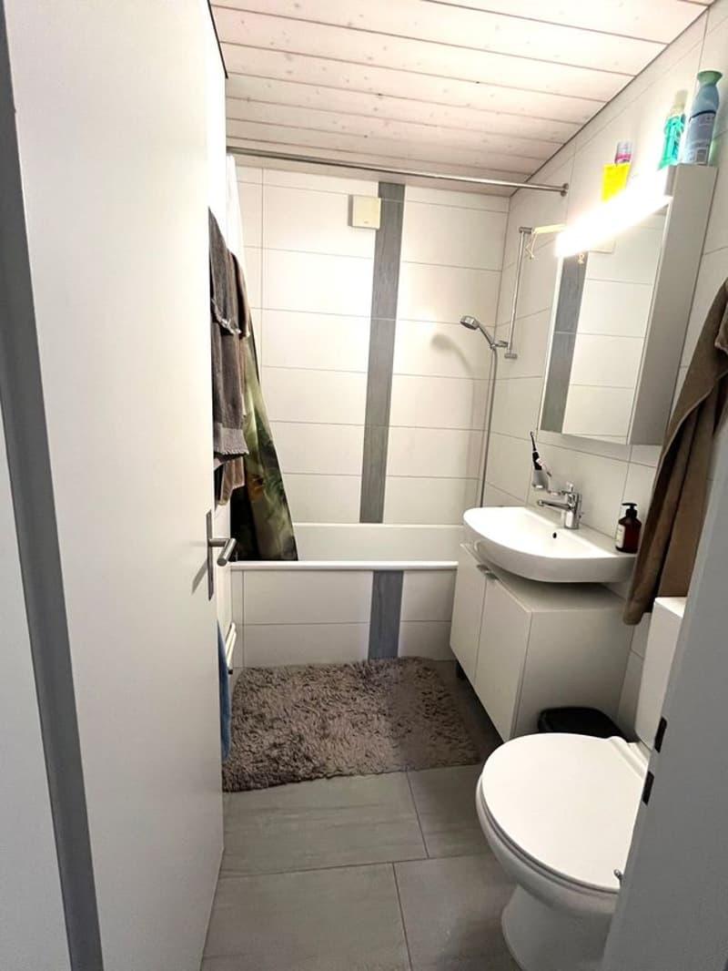 Appartamento con Stazione di Ricarica Elettrica Appartamento 4.5 Locali con Grande Terrazza (11)
