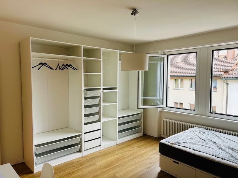 Incantevole appartamento monostanza con uso giardino su Rosenweg (3)