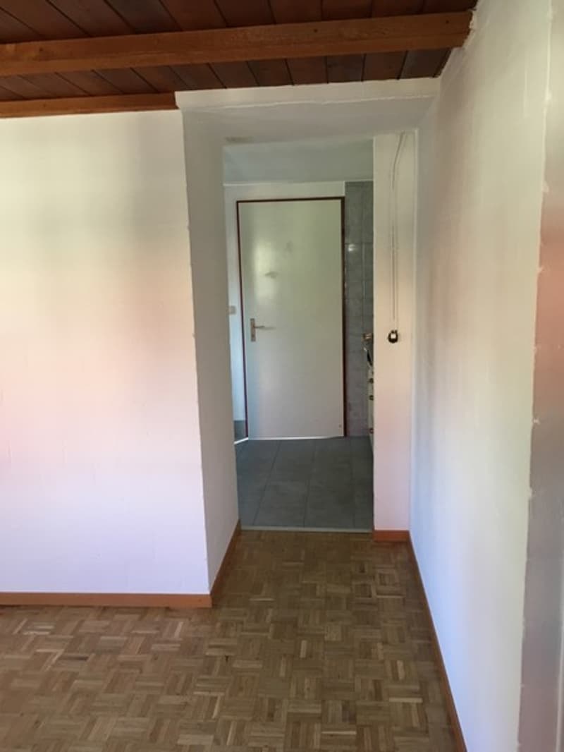 Einfaches 1-Zimmer-Studio in Langenthal mit Gartenmitbenutzung (5)