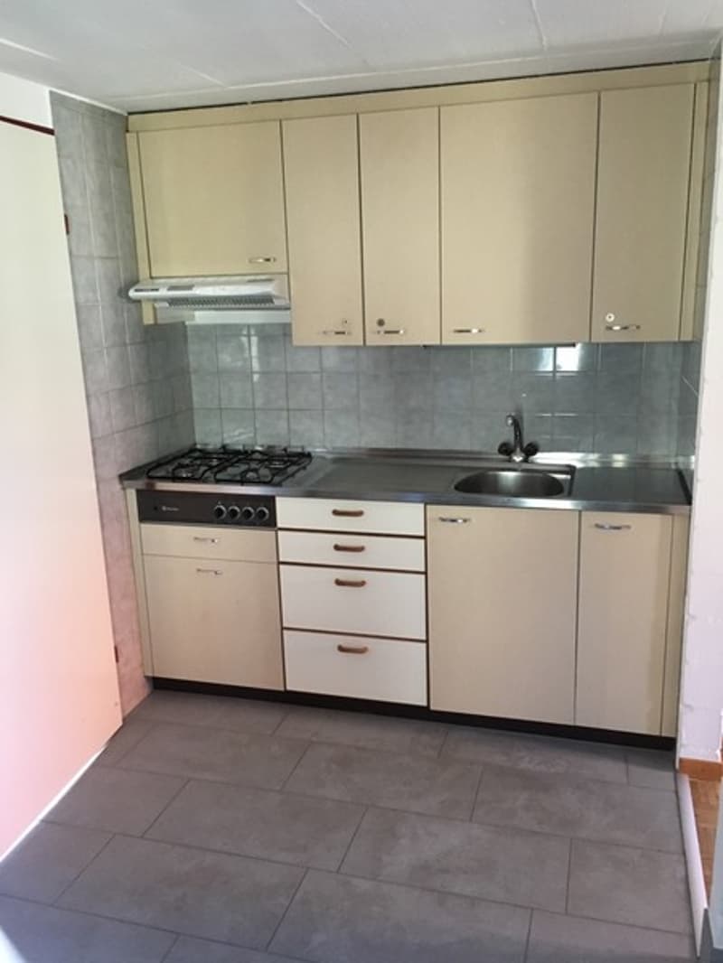 Einfaches 1-Zimmer-Studio in Langenthal mit Gartenmitbenutzung (2)