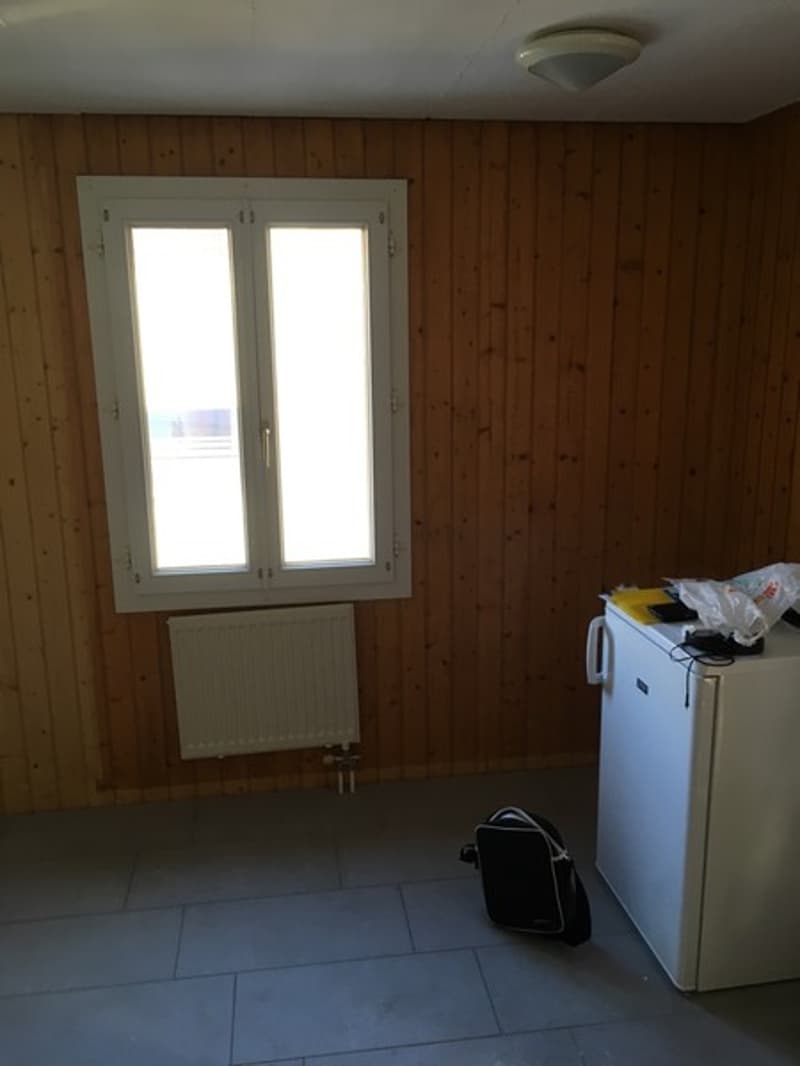 Einfaches 1-Zimmer-Studio in Langenthal mit Gartenmitbenutzung (4)