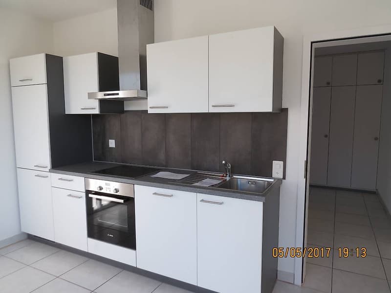 Sehr modernes neues Apartment, 2 Zimmer in Melano (2)
