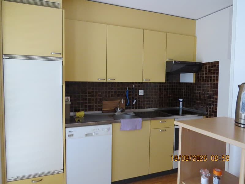 Sonnige 2.5-Parterre-Wohnung mit gepflegtem Aussenbereich (4)