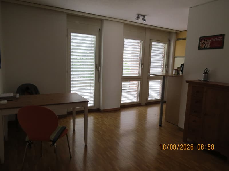 Sonnige 2.5-Parterre-Wohnung mit gepflegtem Aussenbereich (5)