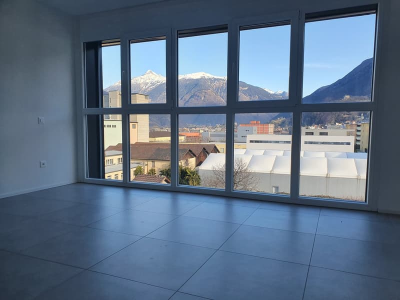 Bright 3.5-room apartment with large terrace (7)