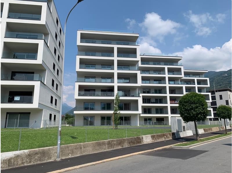Bright 3.5-room apartment with large terrace (10)