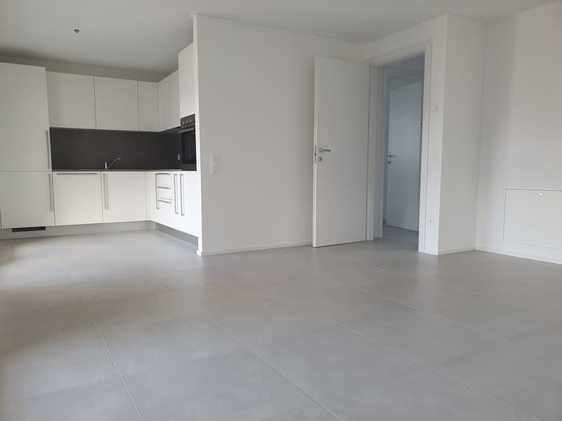 Bright 3.5-room apartment with large terrace (3)
