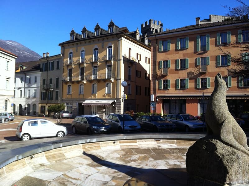 Cozy 2.5-room apartment in the heart of Bellinzona (8)