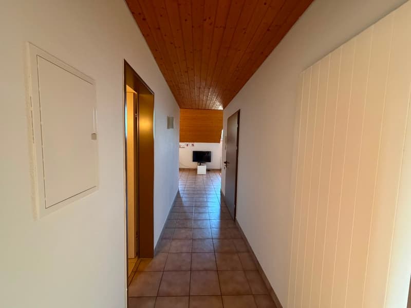 Cozy 2.5-room apartment in the heart of Bellinzona (4)