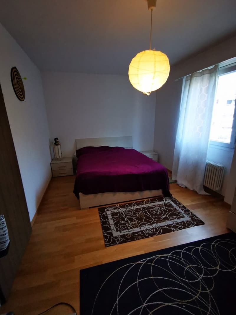 Bright 2.5-room apartment in Bellinzona (6)