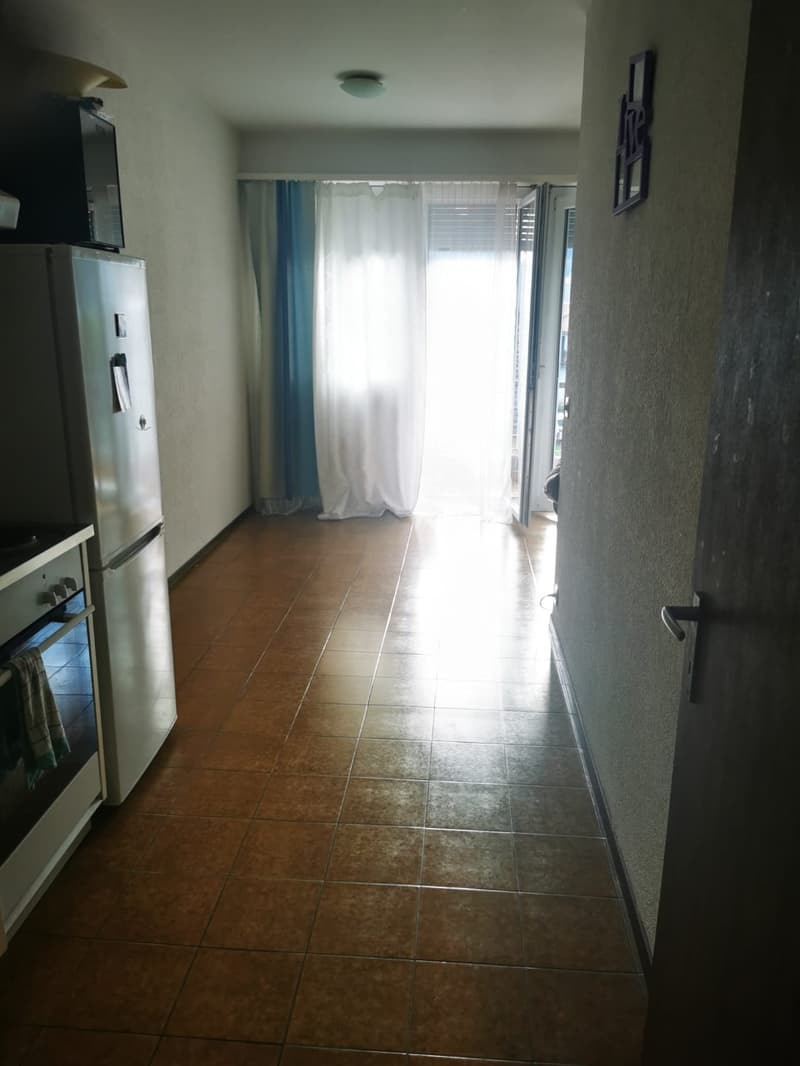 Bright 2.5-room apartment in Bellinzona (4)